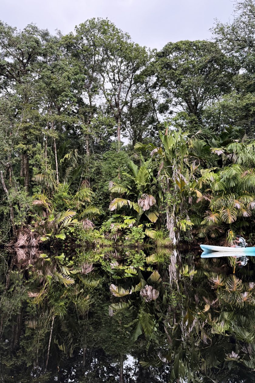 IMG_0281-aspect-ratio-840-1259