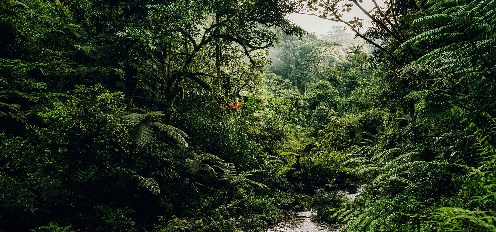 NH_OO_Activities_Waterfall_Trek_0076_MASTER-1-aspect-ratio-2040-957