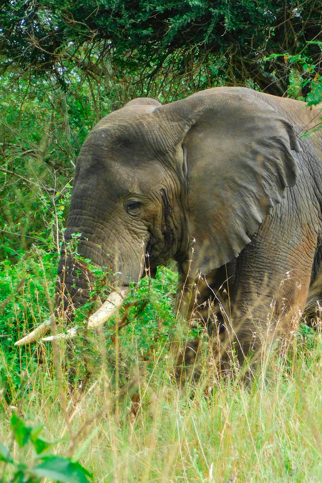 emmy-shingiro-e6yuhINhqq8-unsplash-aspect-ratio-1251-1875