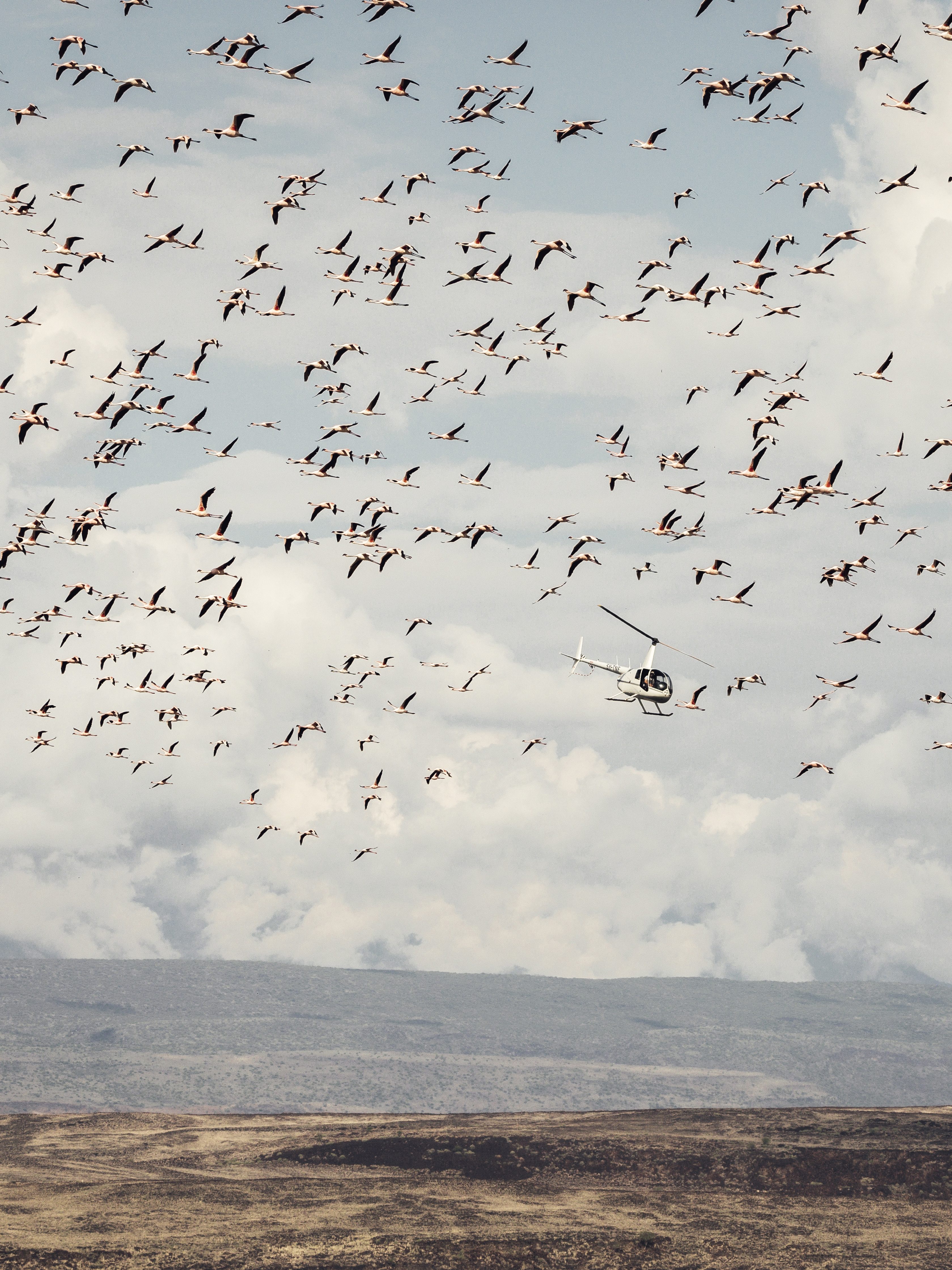 BB-2019_OL-MALO-Wildlife-Landscape-33-aspect-ratio-1033-1378
