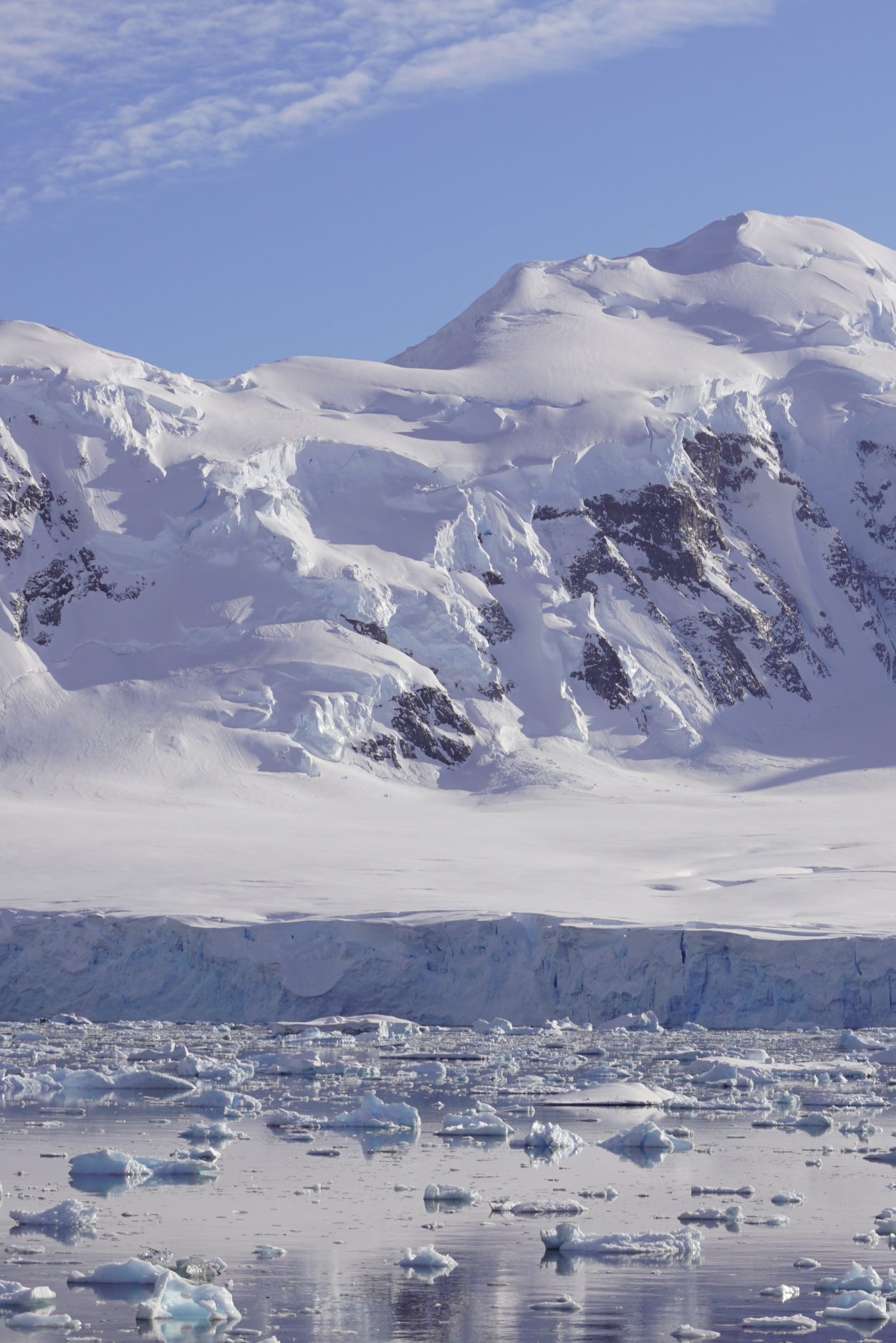 DSC06689-aspect-ratio-1251-1875