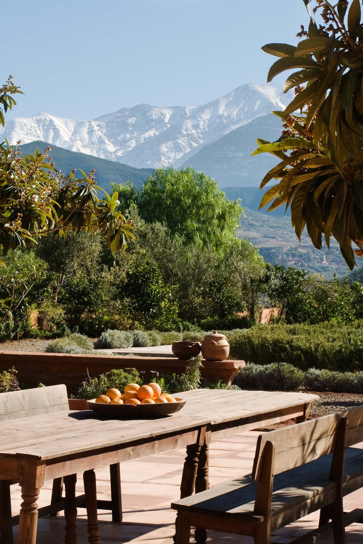 terrace-orange-aspect-ratio-1251-1875