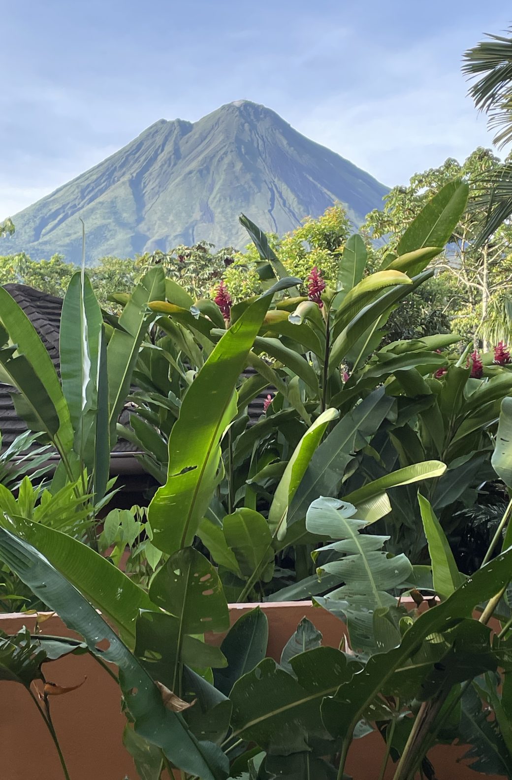 IMG_1720-rotated-aspect-ratio-1040-1584