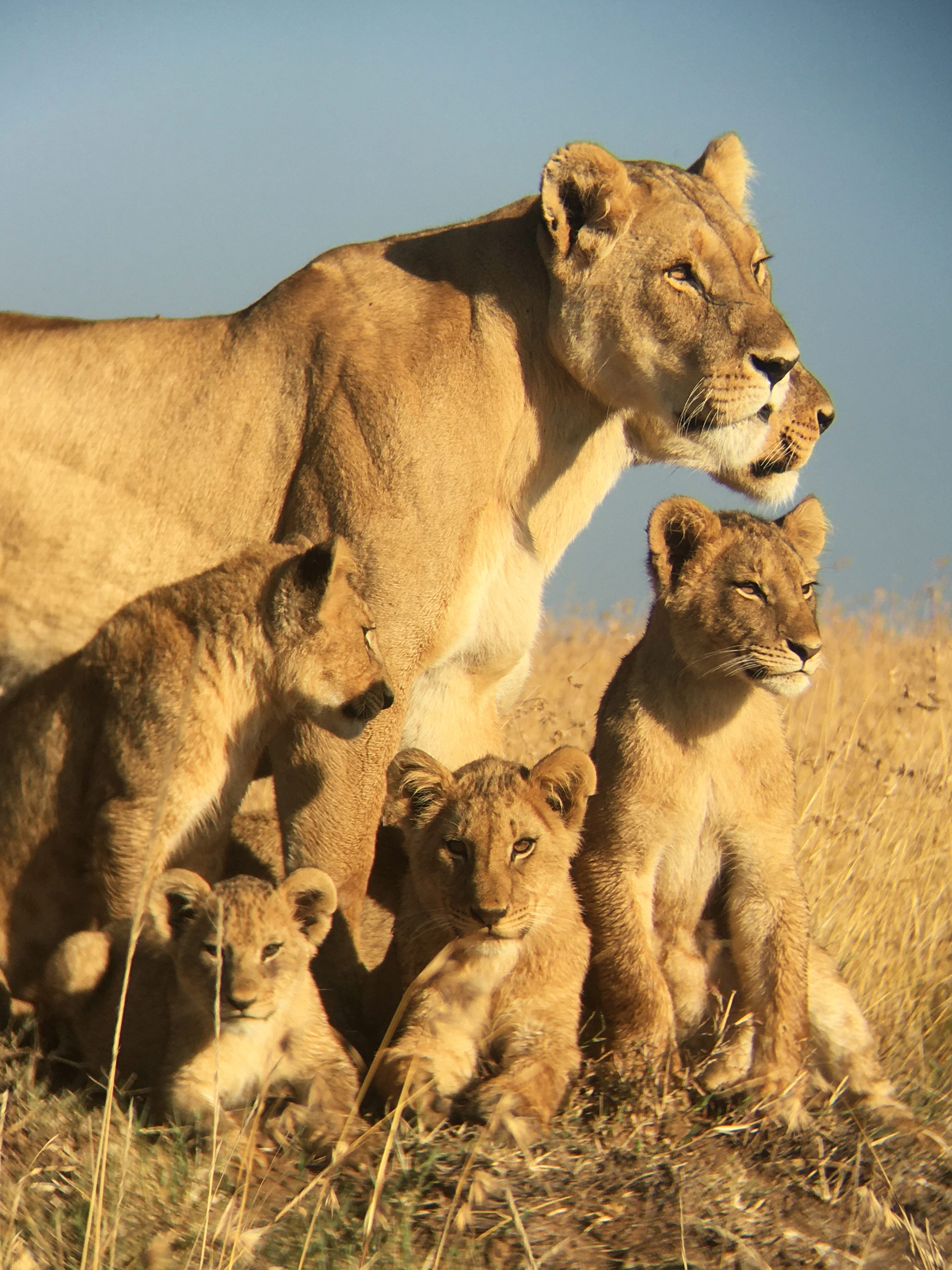 IMG_4219-aspect-ratio-1033-1378