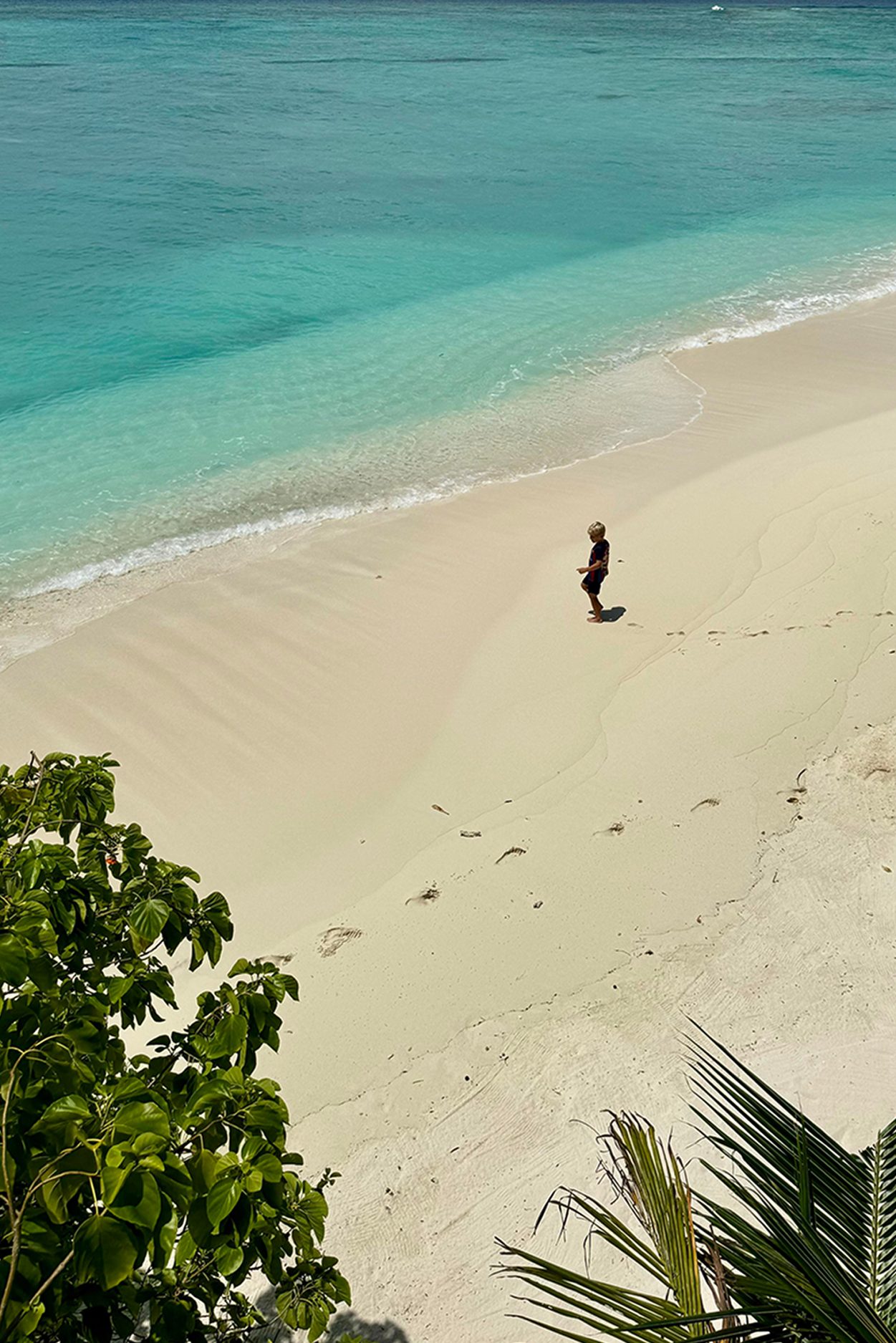 IMG_7445-aspect-ratio-1251-1875