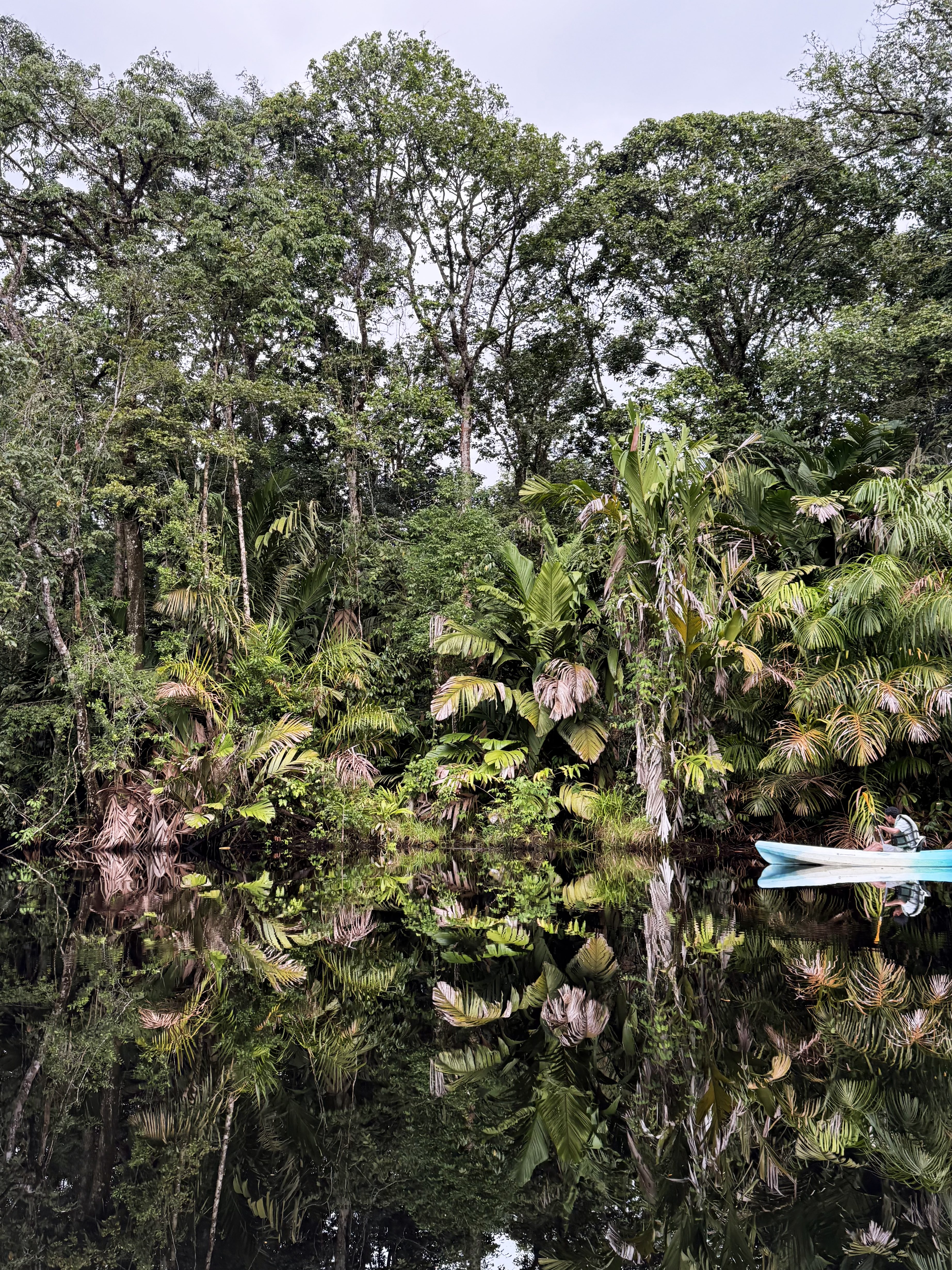 IMG_0281-aspect-ratio-1033-1378