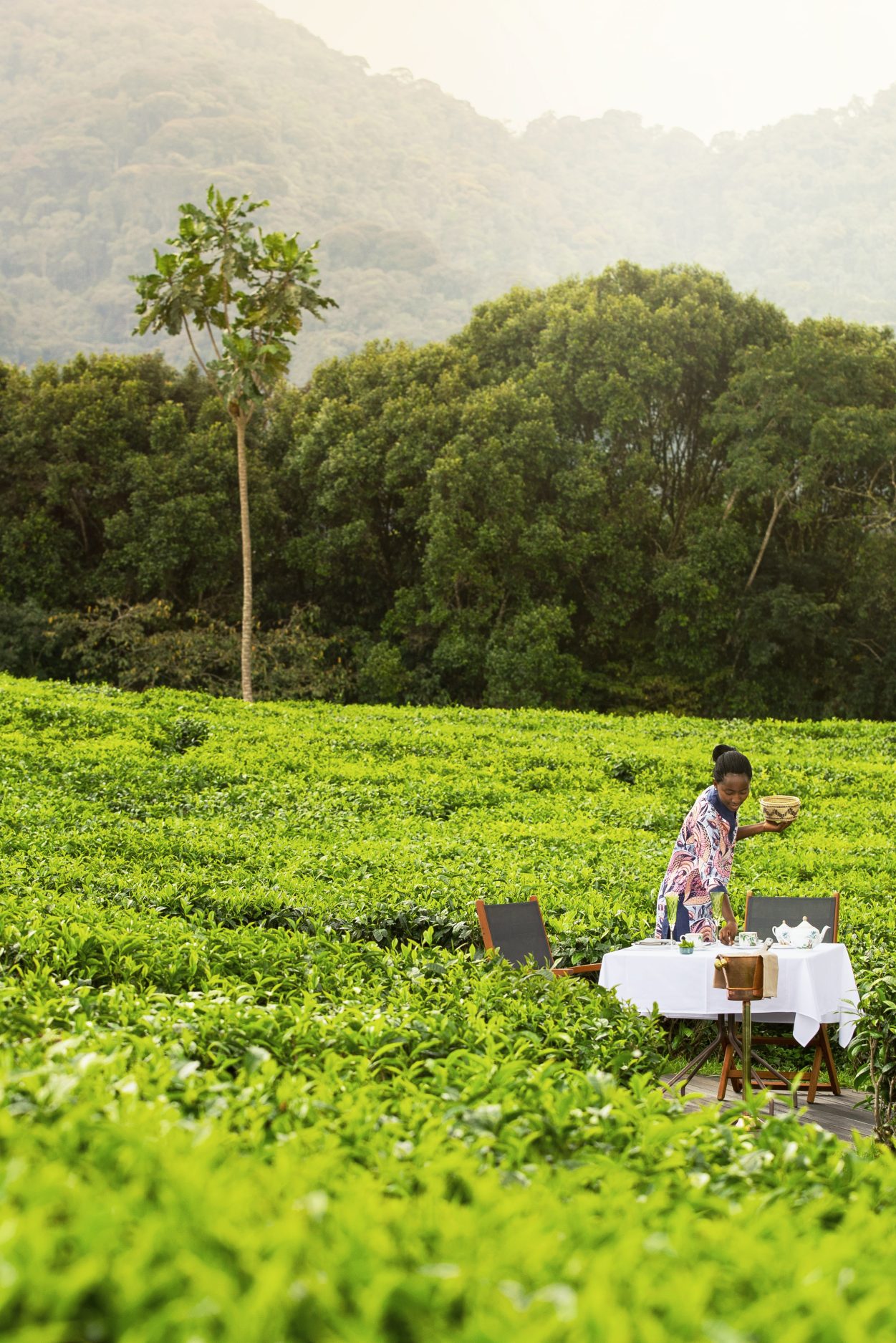 OO_NyungweHouse_FB_Tea_Ceremony_0813_MASTER-aspect-ratio-1251-1875
