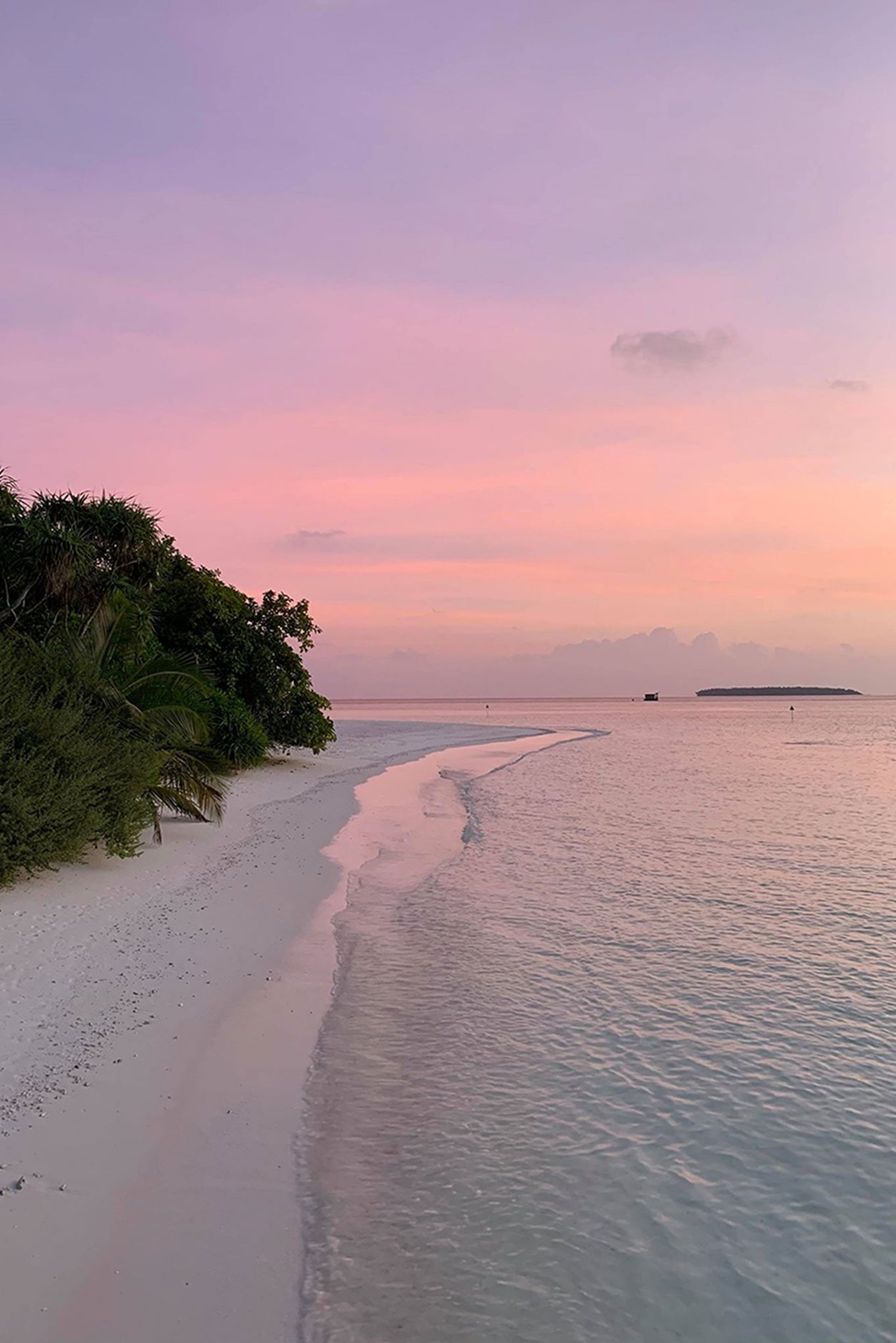 88204968_826693421143686_3795297157334958080_n-aspect-ratio-1251-1875