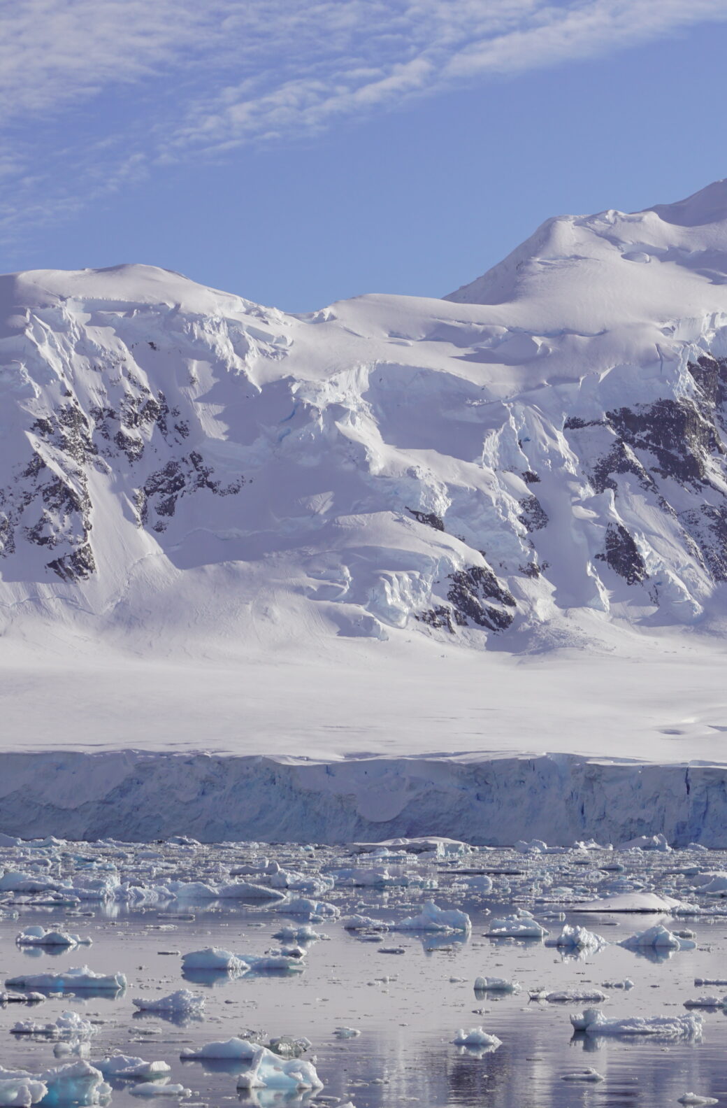 DSC06689-aspect-ratio-1040-1584