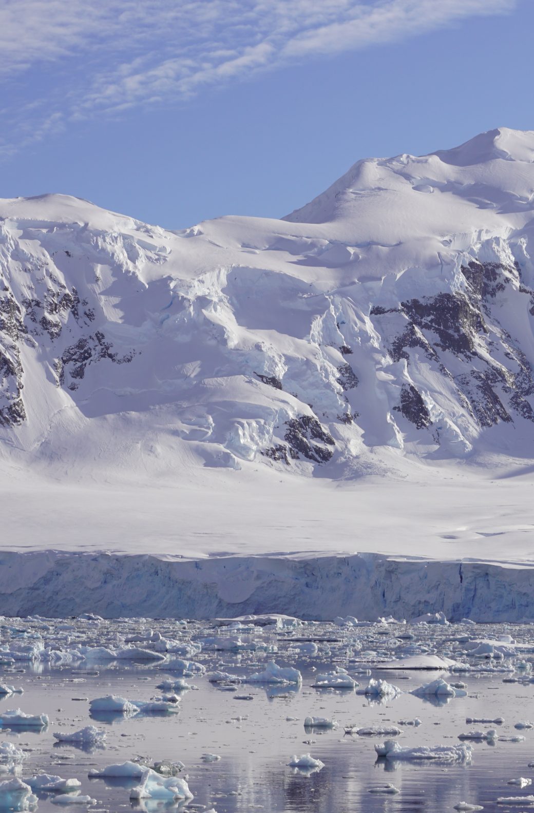 DSC06689-aspect-ratio-1040-1584