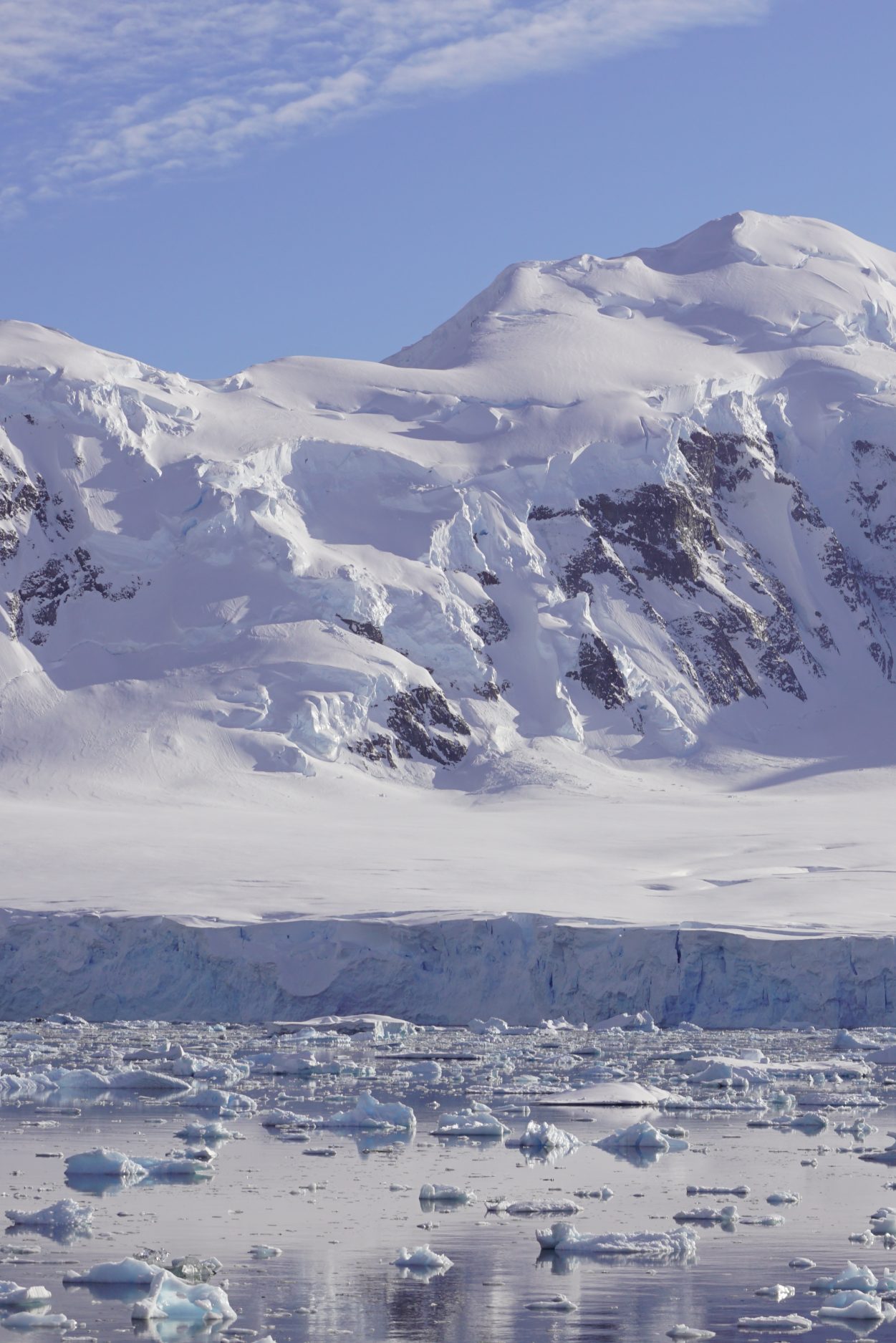 DSC06689-aspect-ratio-1251-1875