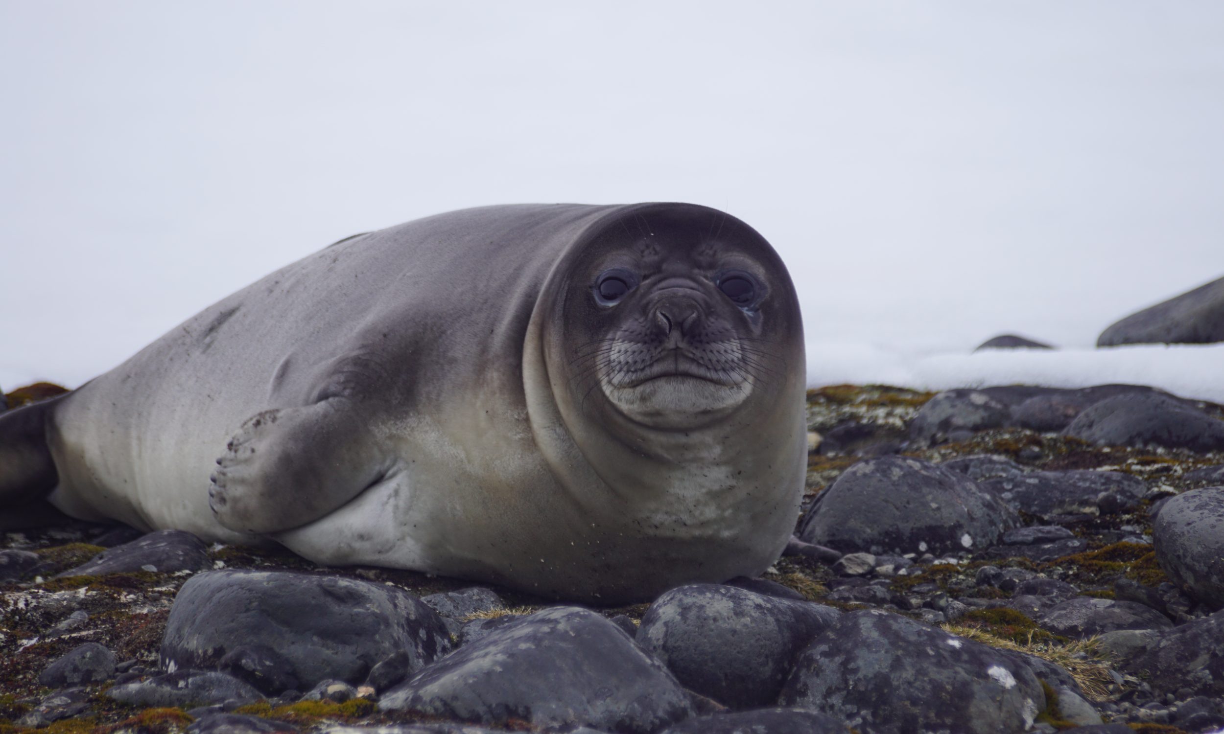 DSC07430-aspect-ratio-2500-1500